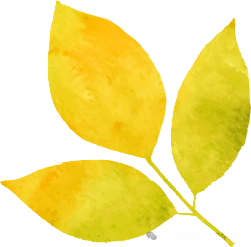 中考数学满分不易,但高分其实很简单! 第8张 中考数学满分不易,但高分其实很简单! 第8张