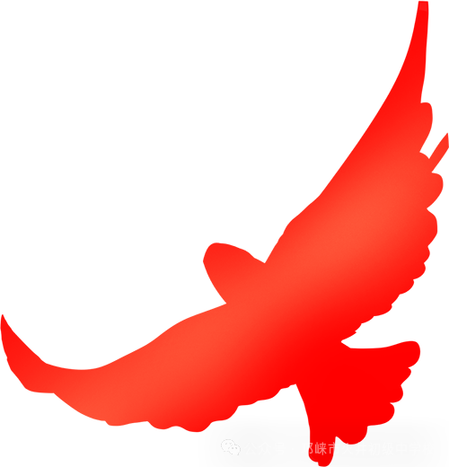冲刺中考,决战未来 第5张 冲刺中考,决战未来 第5张