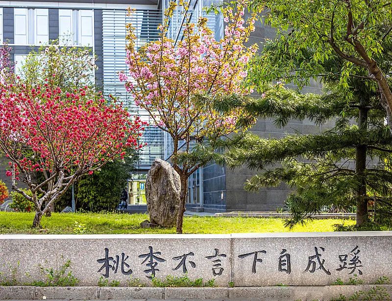 高考篇 | 前路漫漫亦灿灿——高考数语经验分享 第10张 高考篇 | 前路漫漫亦灿灿——高考数语经验分享 第10张