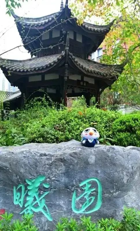 高考篇 | 前路漫漫亦灿灿——高考数语经验分享 第12张 高考篇 | 前路漫漫亦灿灿——高考数语经验分享 第12张