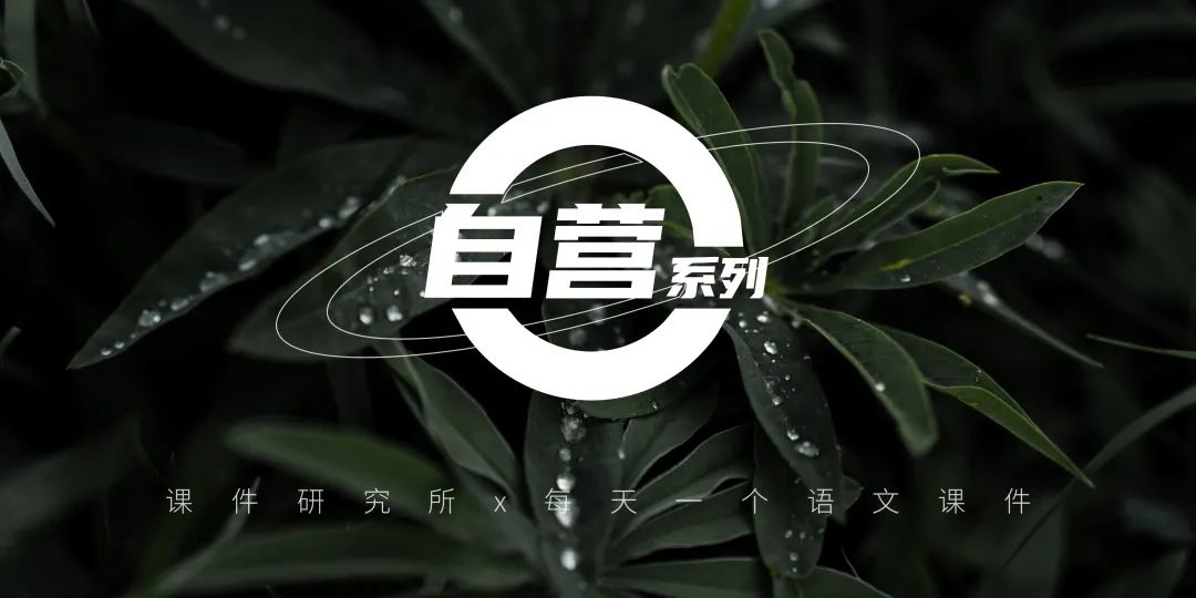 语文中考二轮专题复习2024年新版课件,满满提分干货,火热更新中~ 第1张 语文中考二轮专题复习2024年新版课件,满满提分干货,火热更新中~ 第1张