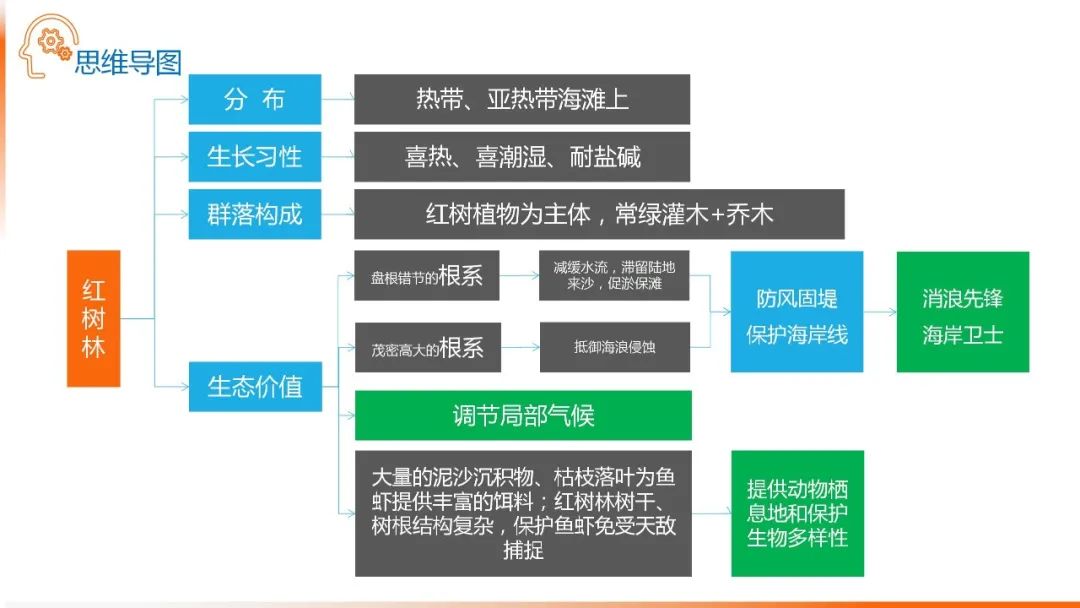 高考备考自然地理小专题思维导图大全 第71张