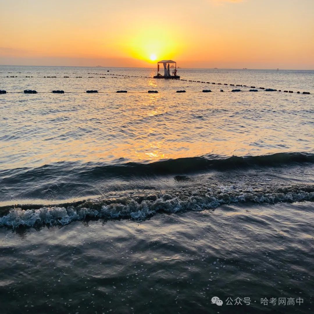 3月29日·高考倒计时打卡 第1张 3月29日·高考倒计时打卡 第1张