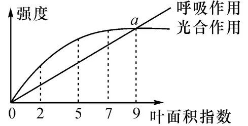 【初中】生物中考曲线类试题29例(含答案) 第9张