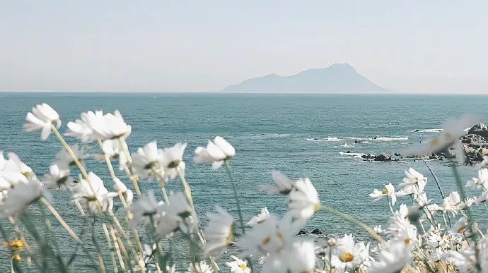 4月3日·高考倒计时打卡 第1张 4月3日·高考倒计时打卡 第1张