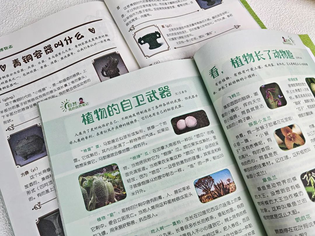 意林连续12年“巧遇中考高考作文”!每天8分钟晨读,冲刺2024中高考! 第16张 意林连续12年“巧遇中考高考作文”!每天8分钟晨读,冲刺2024中高考! 第16张