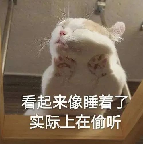预警!今年高考或成史上是最难的一届?近22万学考落榜生将加入高考竞争? 第30张 预警!今年高考或成史上是最难的一届?近22万学考落榜生将加入高考竞争? 第30张