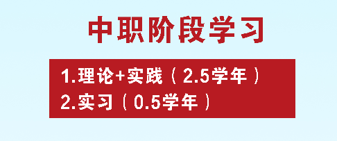 @初中毕业生:普高、职校中考后怎样选择才最好?技师、技校、中专、大专、职高、职校...有什么区别? 第12张