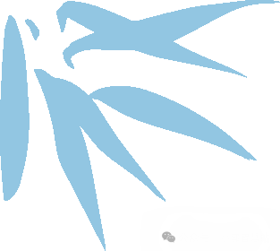 高考复习没动力了?我给你,要多少有多少! 第5张