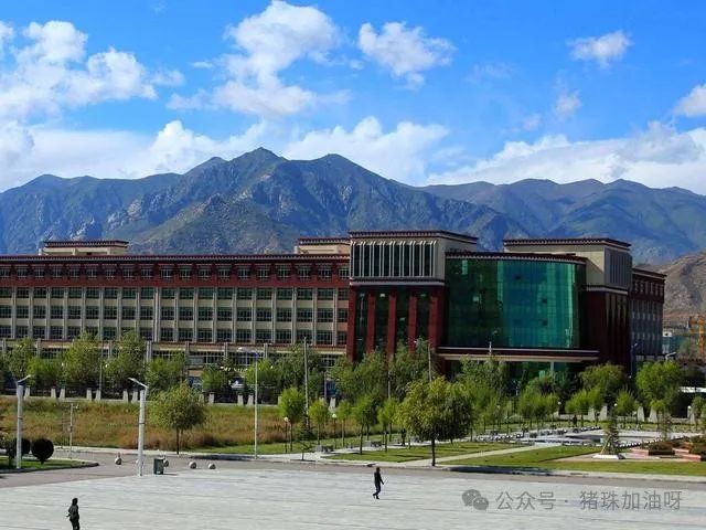 高考重要性与大学选择 第3张 高考重要性与大学选择 第3张