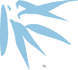 注意啦!武汉中考志愿就要开始,填报指南拿走不谢! 第1张