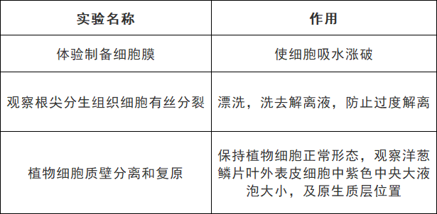 高考生物:9张表格帮你搞定颜色反应 第15张 高考生物:9张表格帮你搞定颜色反应 第15张