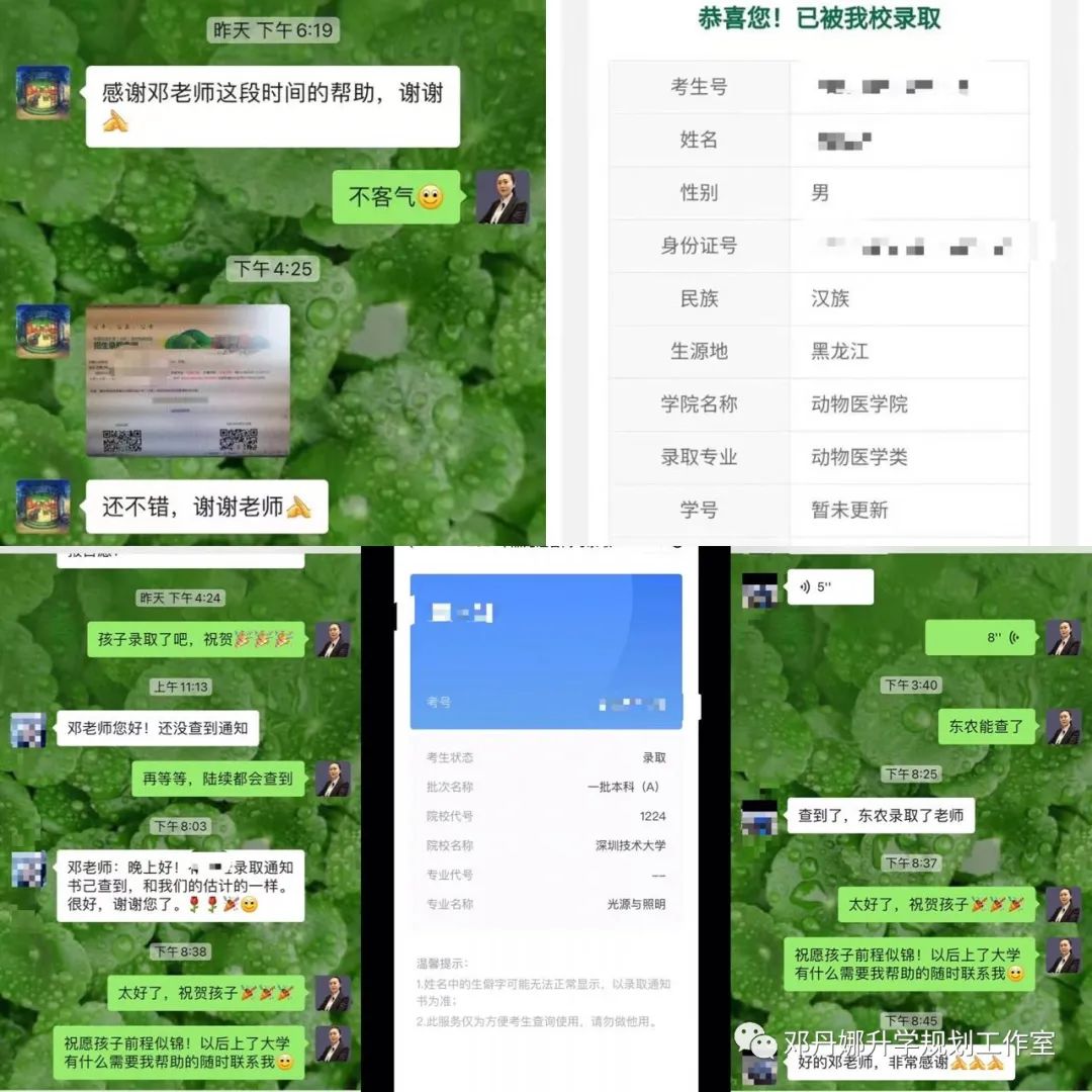 高考前最后两个月的冲刺:拼的不仅是知识,更是心态与方法 第48张
