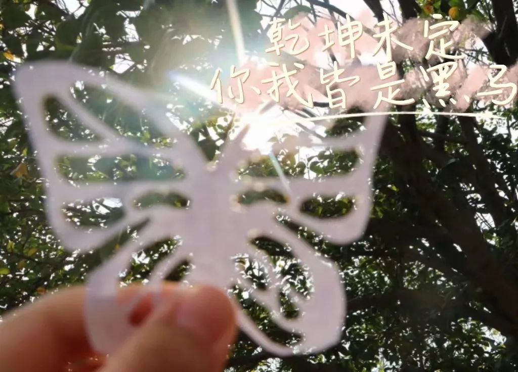 高考倒计时五十天 | 春风得意马蹄疾,一日看尽巢院“花” 第7张