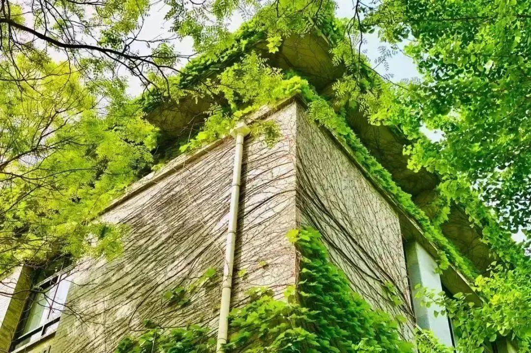 高考倒计时50天 | 嘿,北师大想跟你见个面…… 第35张