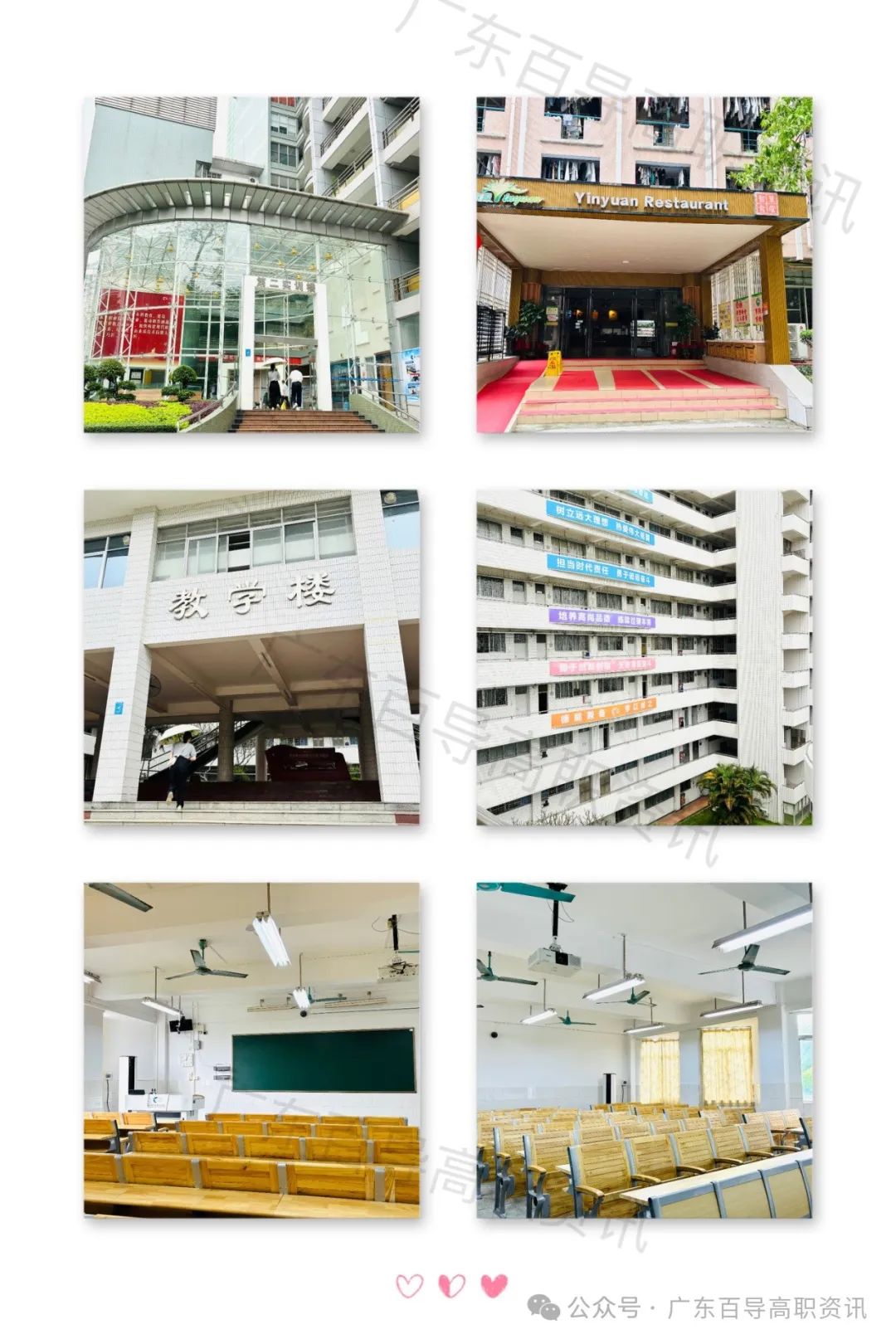 广东岭南职业技术学院-2024年春季高考投档分数线(录取查询方式、学校介绍) 第20张 广东岭南职业技术学院-2024年春季高考投档分数线(录取查询方式、学校介绍) 第20张