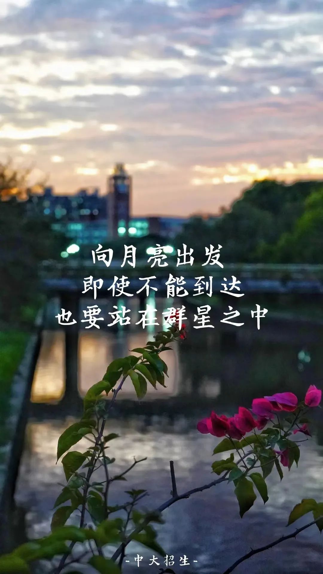 高考倒计时50天:读书札记21 | 为什么伟大不能被计划 第3张 高考倒计时50天:读书札记21 | 为什么伟大不能被计划 第3张