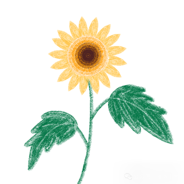 中考,我准备好了 第2张