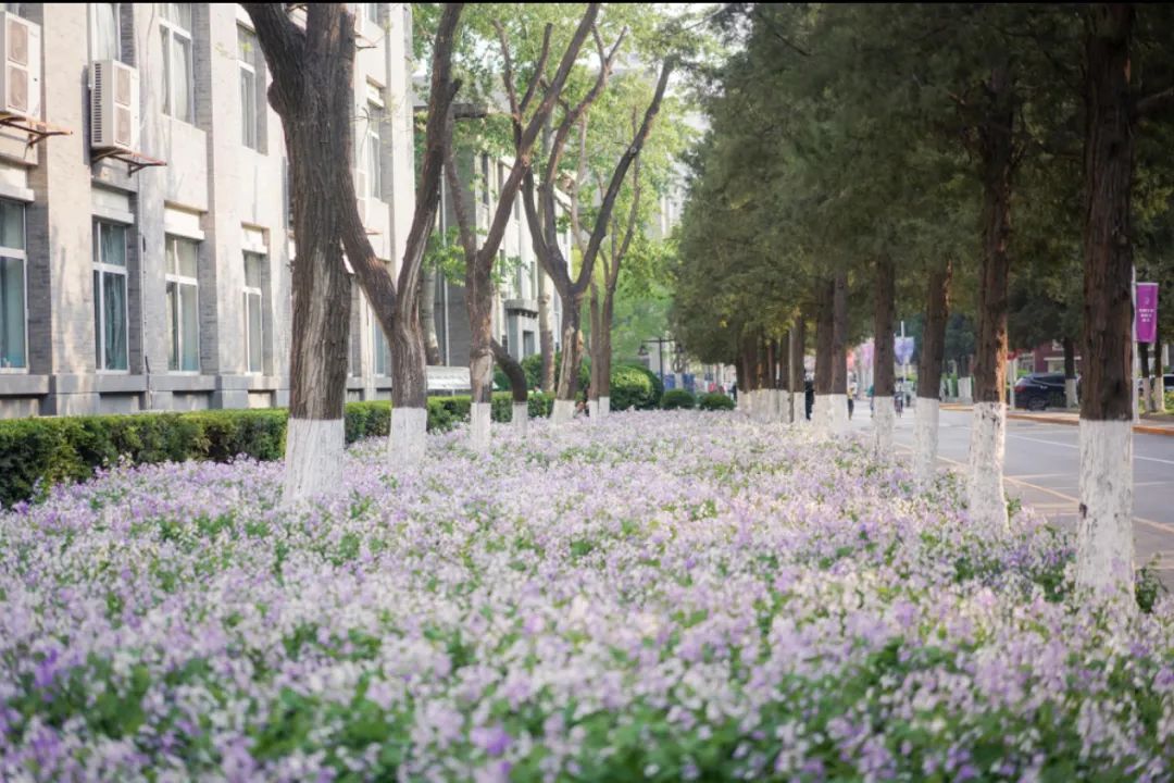 高考倒计时50天 | 嘿,北师大想跟你见个面…… 第32张