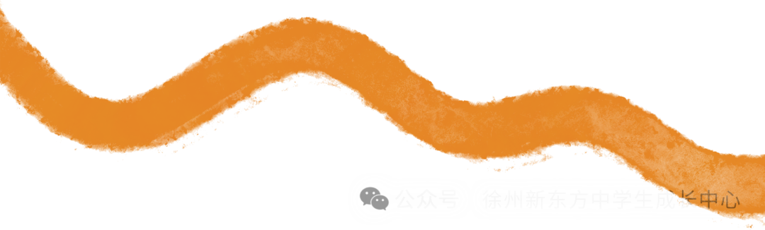 徐州老牌公立学校第38中学大揭秘,中考成绩、分班情况、指标生数据...这里都有 第4张