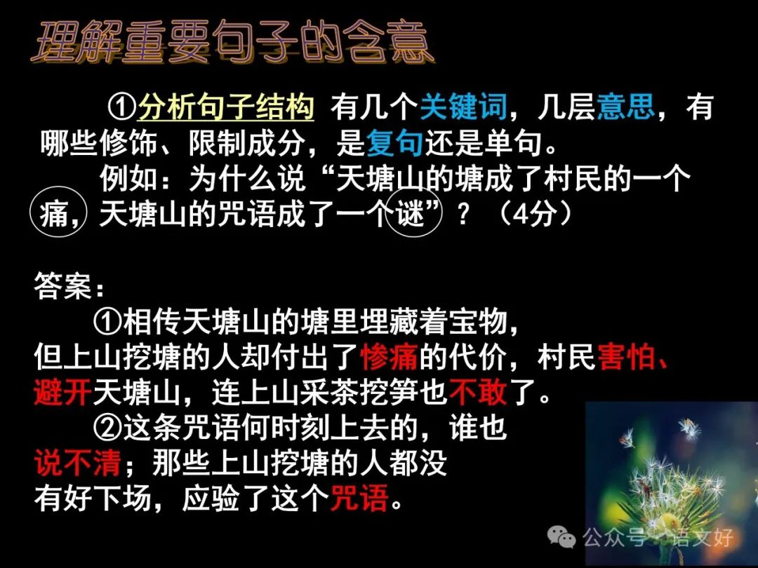 2024高考散文阅读课件4合1(多类题型,链接高考) 第46张