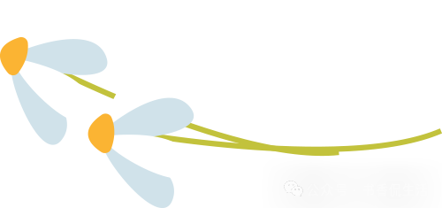 还有48天高考,我却放弃了高三学霸女儿! 第4张 还有48天高考,我却放弃了高三学霸女儿! 第4张