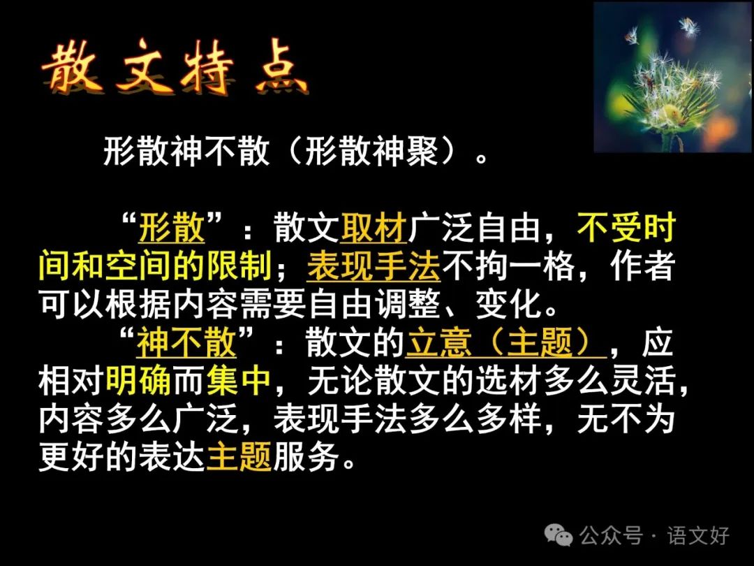 2024高考散文阅读课件4合1(多类题型,链接高考) 第8张