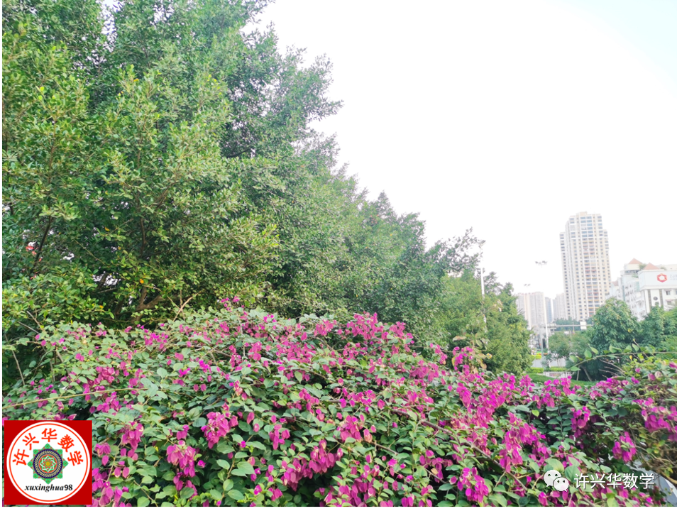 【中考数学】初中数学常考专题——最短路径+动点问题 第1张 【中考数学】初中数学常考专题——最短路径+动点问题 第1张