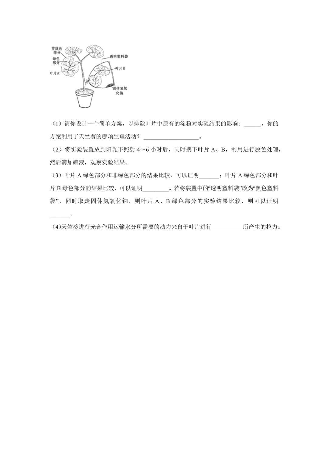 生物【中考总复习】——专项训练07《绿色植物与生物圈的水循环》 第7张