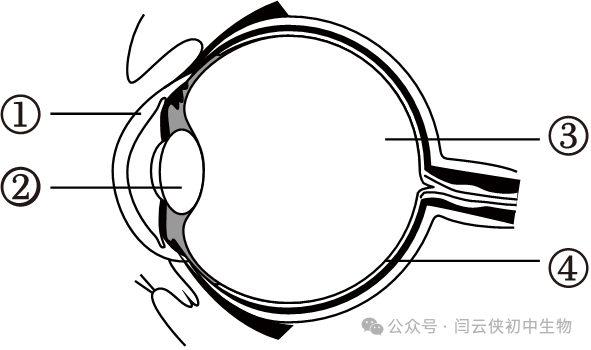 中考真题:2023年福建省中考生物试卷(后附答案) 第1张