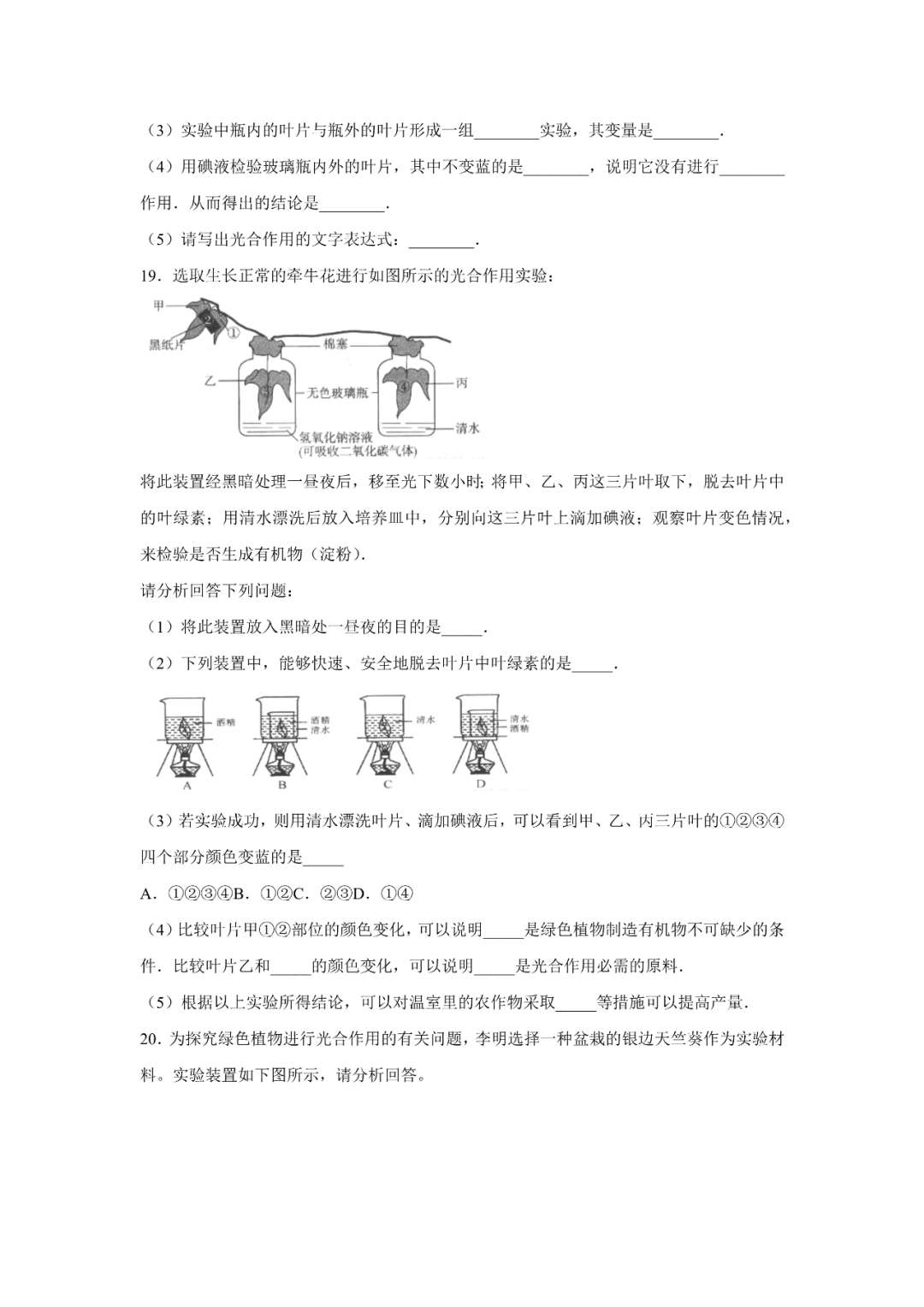 生物【中考总复习】——专项训练07《绿色植物与生物圈的水循环》 第6张