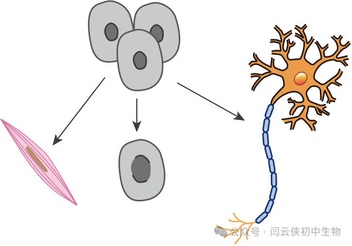 中考真题:2023年福建省中考生物试卷(后附答案) 第3张