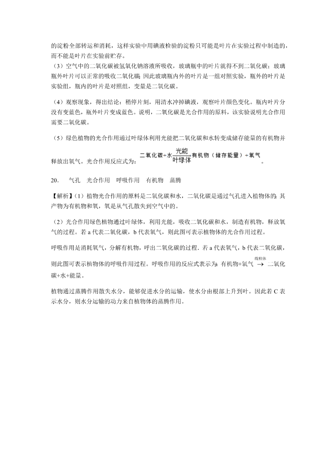生物【中考总复习】——专项训练08《绿色植物的光合作用与呼吸作用》 第11张