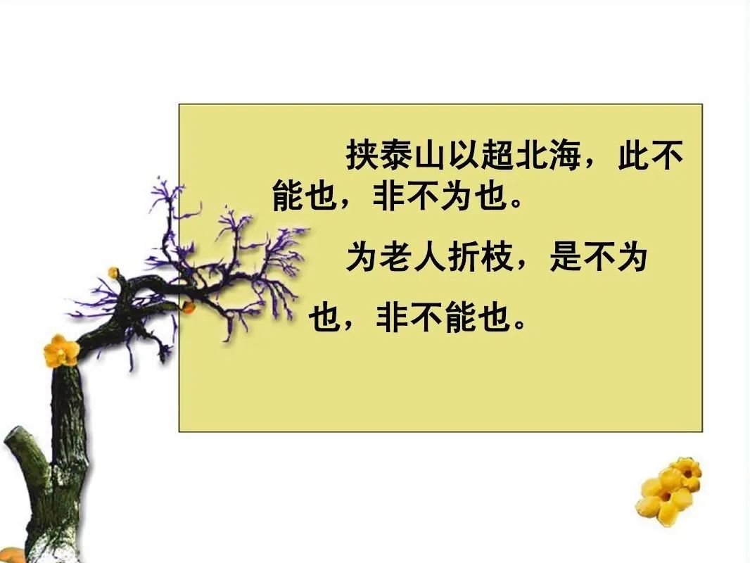 Week8:中考倒计时二位数的时代里:我们继续讲讲故事吧 第12张 Week8:中考倒计时二位数的时代里:我们继续讲讲故事吧 第12张