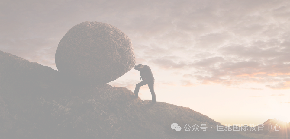 2024年中考押题密训 第2张 2024年中考押题密训 第2张