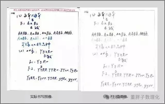中考试卷扫描后啥样?卷面抓住一个要点就能少扣20分! 第2张