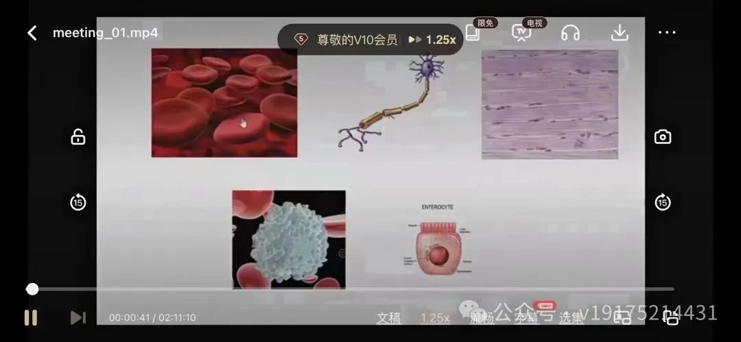 2023上海中考冲刺【跨学科】 第6张