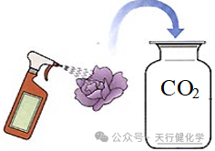 2024中考化学满分必会13大分类考点大全(精华版) 第14张