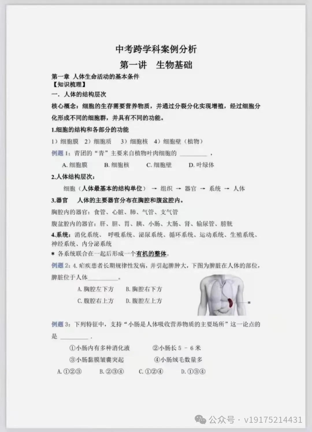 2023上海中考冲刺【跨学科】 第3张