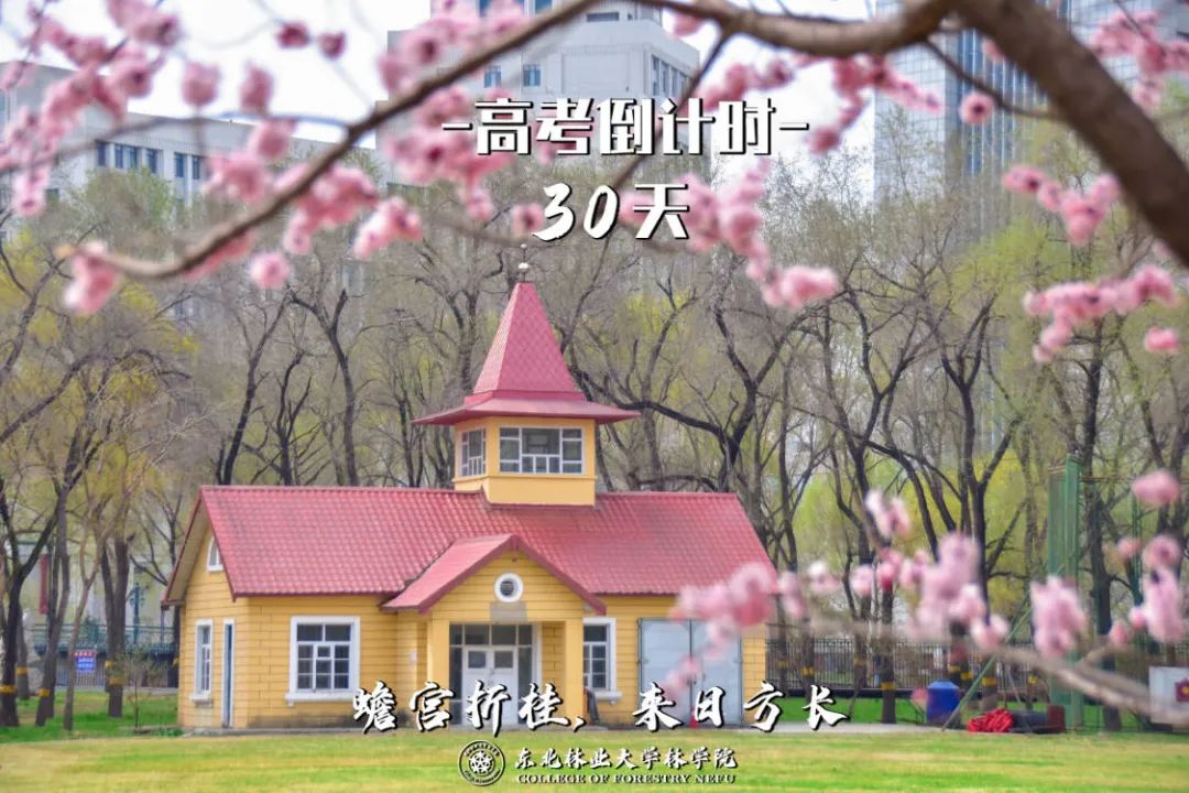 高考倒计时30天,我们在东林等你 第2张