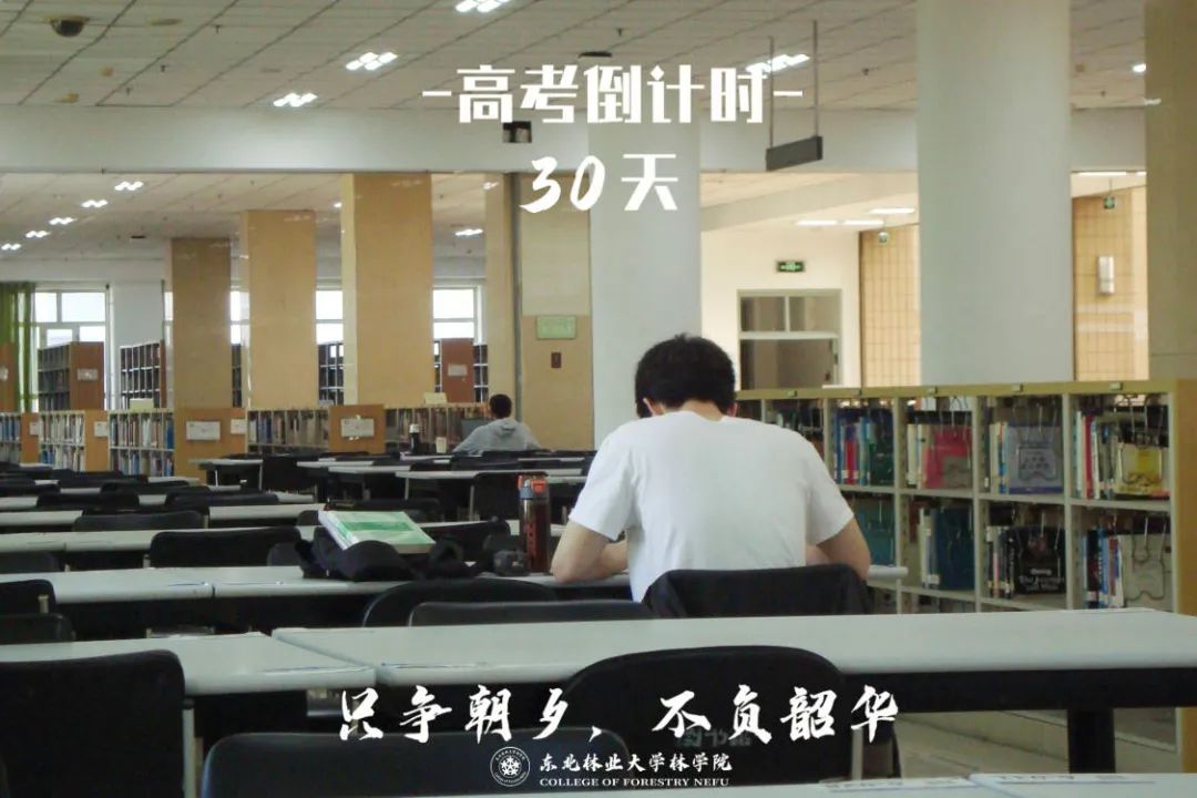 高考倒计时30天,我们在东林等你 第1张