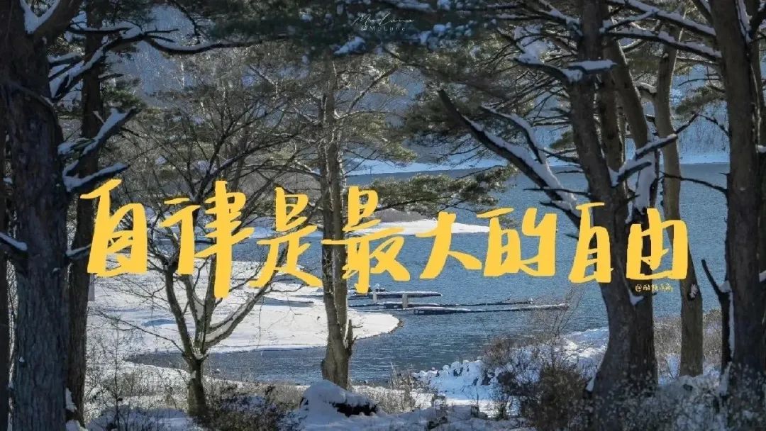 高考和模考到底能差多少分? 第11张