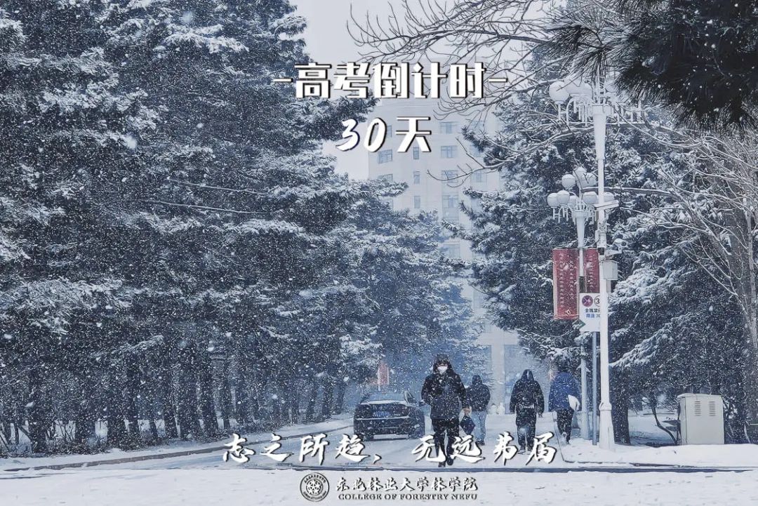 高考倒计时30天,我们在东林等你 第4张