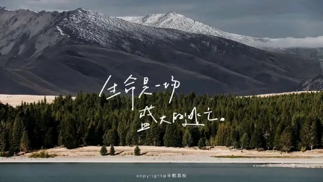 高考和模考到底能差多少分? 第2张