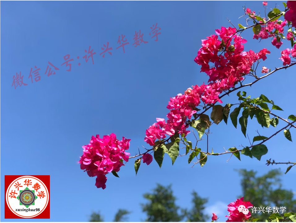 【高考模拟】2024年昆明市高三数学三统试题与参考答案 第1张