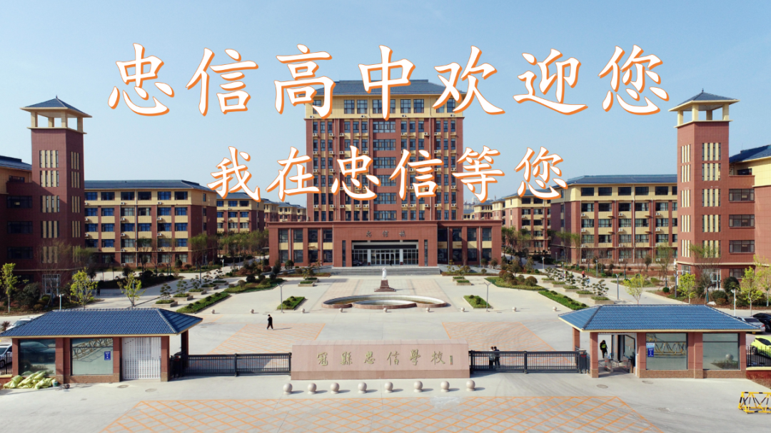 【教师风采】高考备考,携手奋斗——走进忠信高中高三教师 第1张