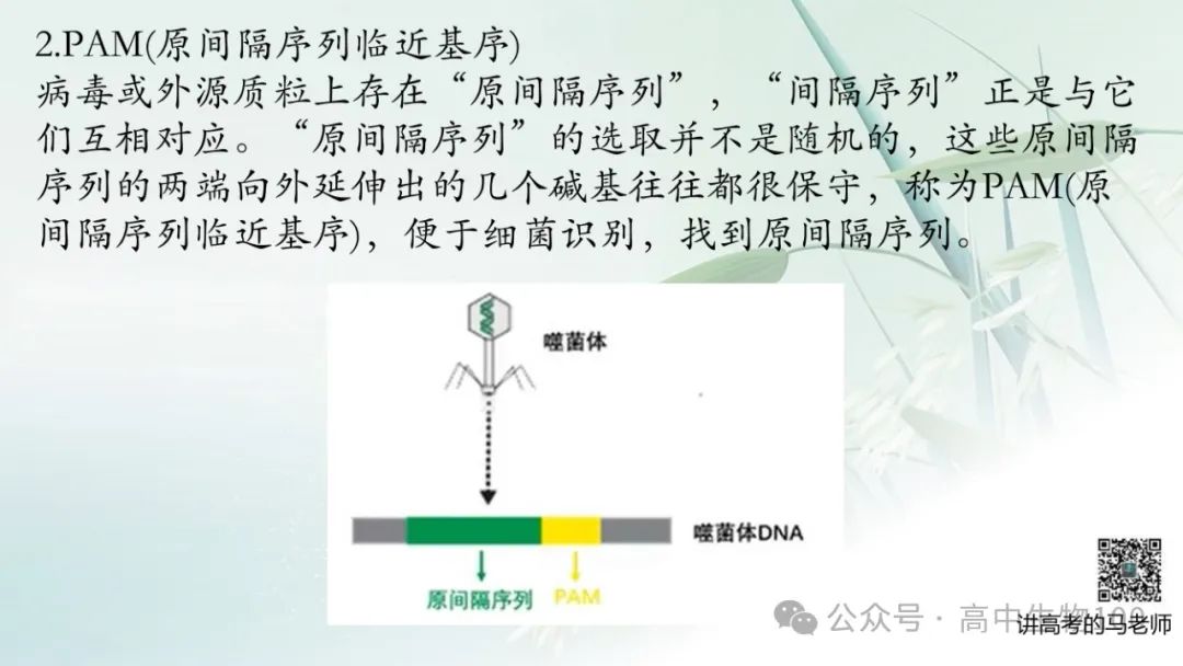讲高考寻规律11:CRISPR/Cas9基因组编辑技术 第7张