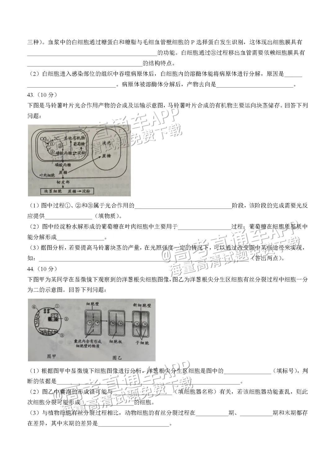 四川第一届新高考娃娃速看:2025届成都零诊7月开考! 第74张