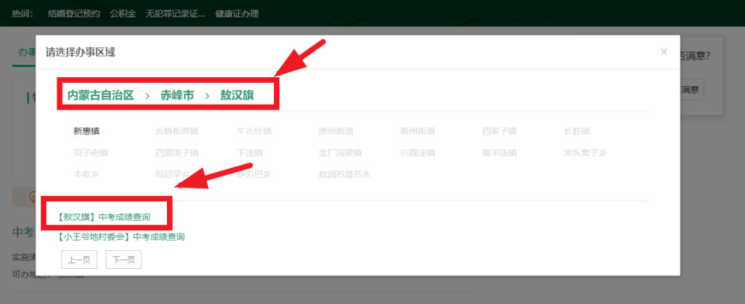 【办事指南】中考成绩查询 第4张