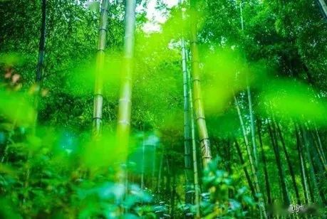 铁西区中考减压活动启动 第4张
